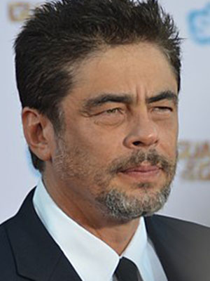 Benicio Del Toro