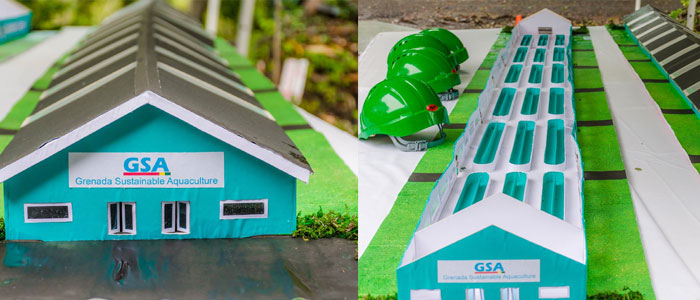 GSA aquaculture models at opening in Grenada